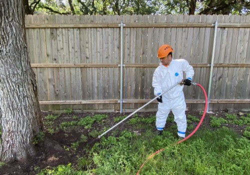 Tips for Proper Watering and Fertilization: Caring for Your Trees in Pflugerville, Texas